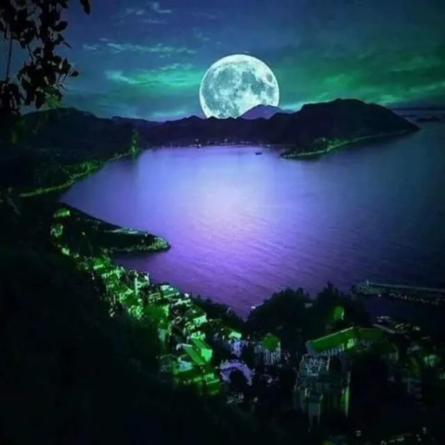 想你的时候问月亮