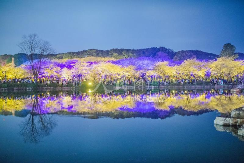 湖北武汉东湖樱花园夜景美轮美奂