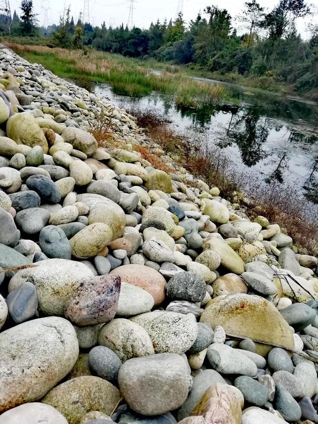 今日羊马河