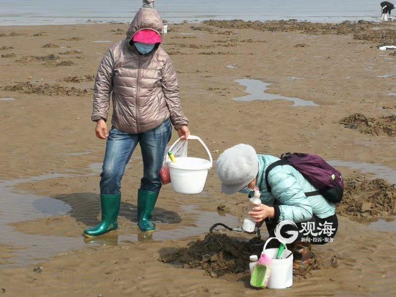 吃货集结沙子口海滩赶海挖蛏子一挖一小篓