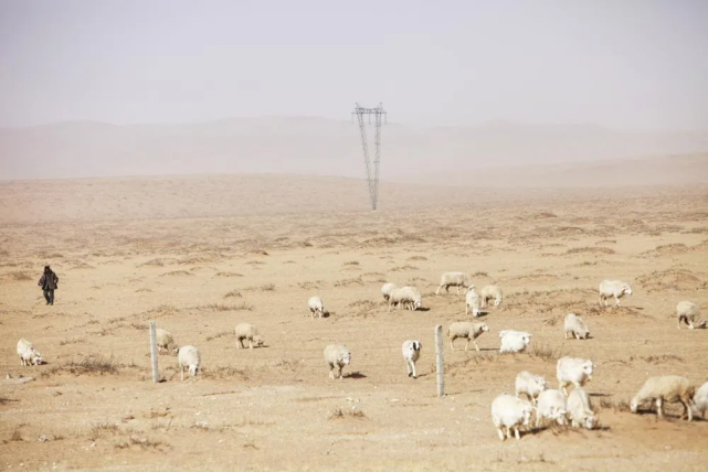 蒙古国的严重干旱,图片来源 climate visuals