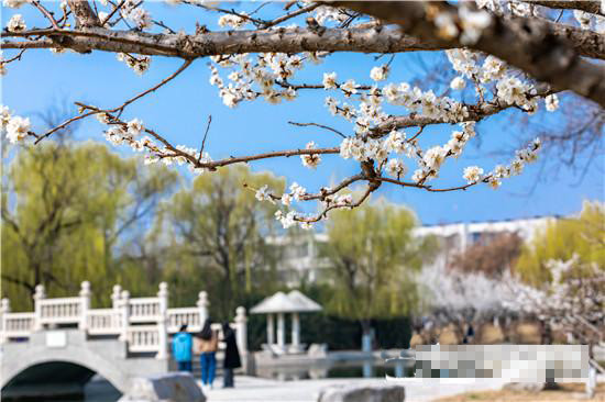 淄博最好的大学,山东理工大学春暖花开,大学风景可以如此美丽