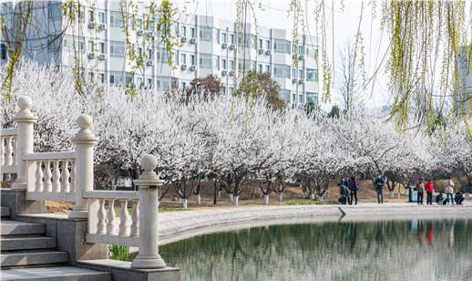 淄博最好的大学,山东理工大学春暖花开,大学风景可以如此美丽