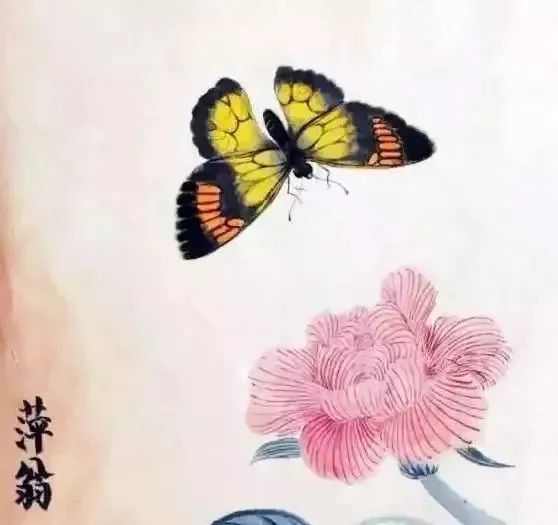 国画中的花蝴蝶,美成了百花仙子!