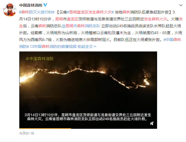 昨日发生森林大火现场烧成一条火龙