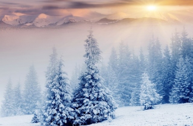 描写冬天的句子唯美 配冬天风景的句子
