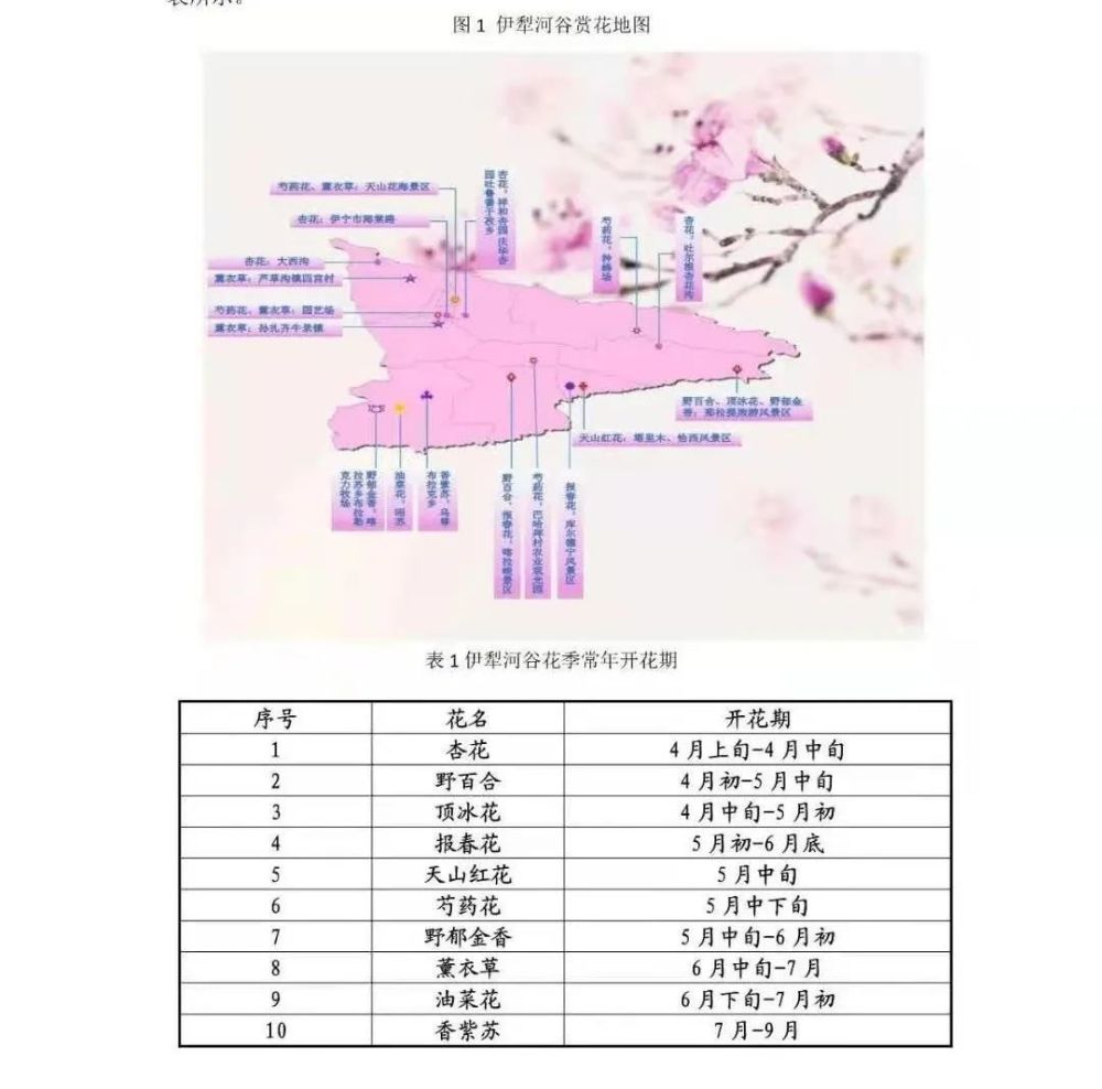 【乌鲁木齐限行规定2018】新疆国际旅行社旅游线路