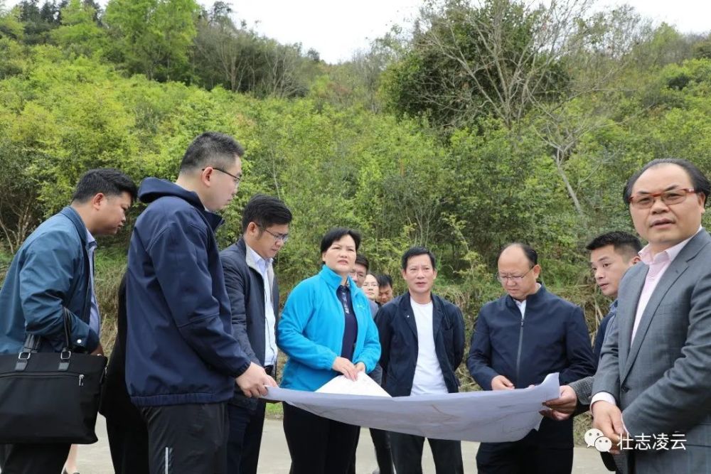 广西天昌投资有限公司到凌云县开展有机茶叶加工基地投资项目考察