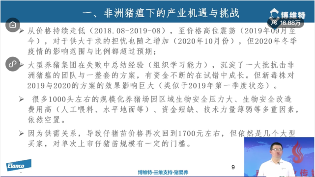 曲向阳:非洲猪瘟弱毒株出现令防控难度加大,行业将进入3-5年持续盈利