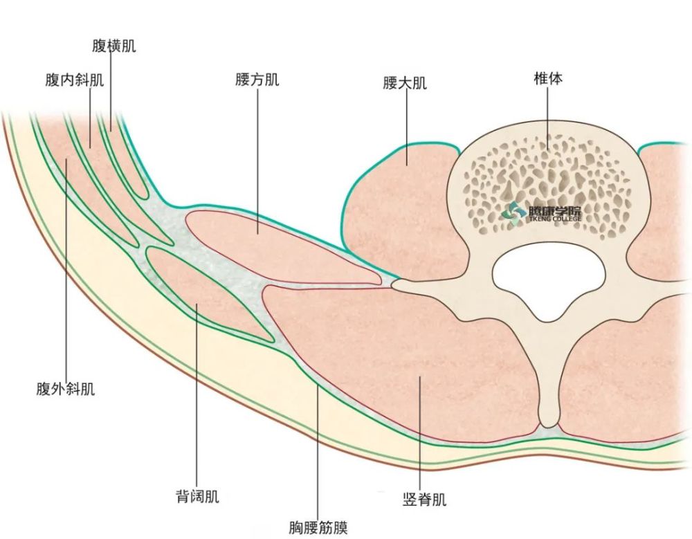 中下背痛的手法治疗