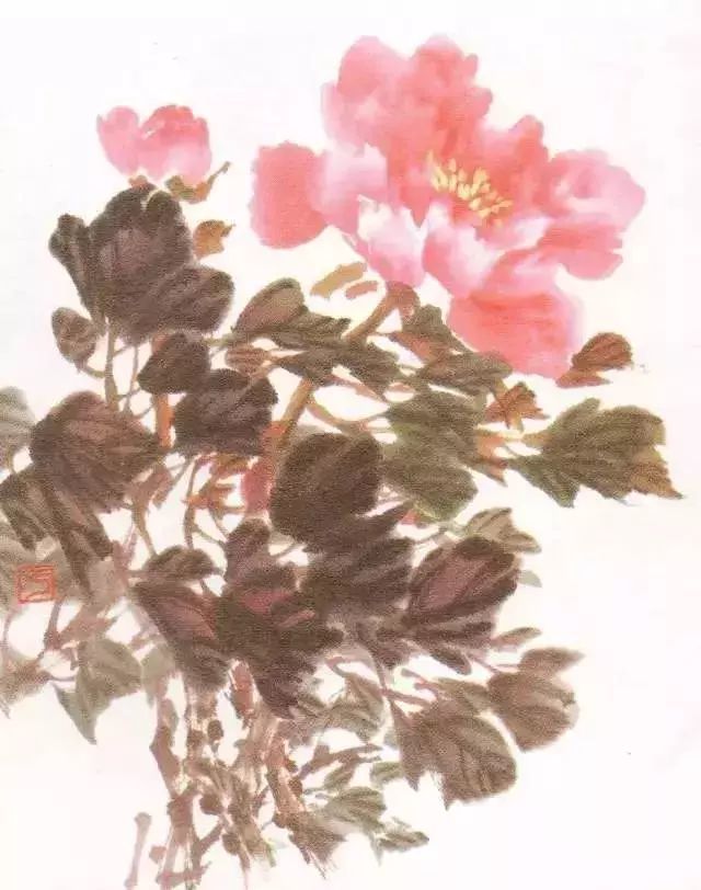 牡丹叶子有老叶和嫩叶两种,写意画法只需表现出叶子组合的形似特征