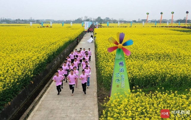 绵阳安州:油菜花海欢乐多