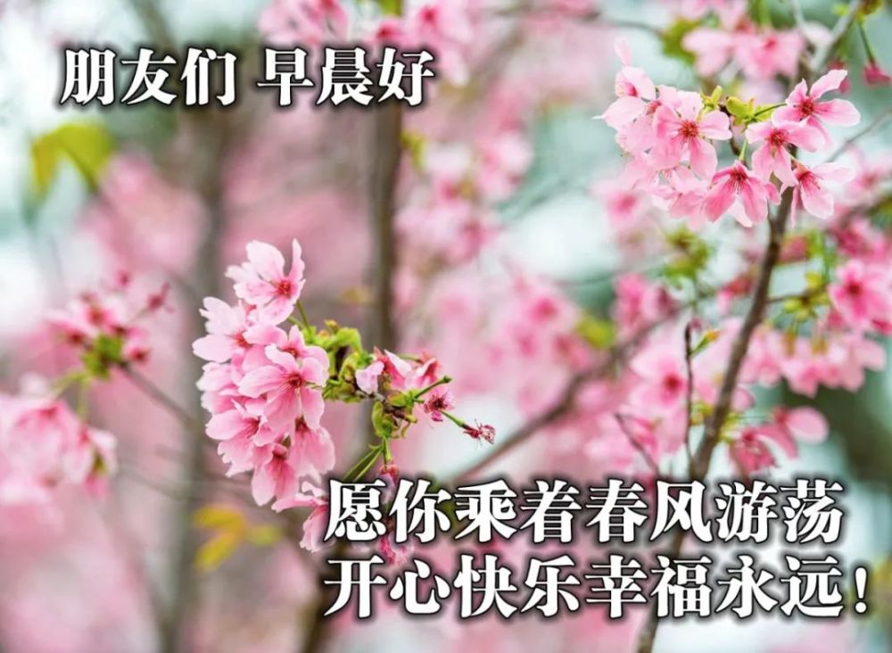 2021非常暖心的早安问候图片 早安心语祝福图片大全