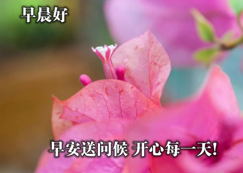 2021非常暖心的早安问候图片 早安心语祝福图片大全