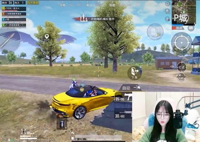 图片