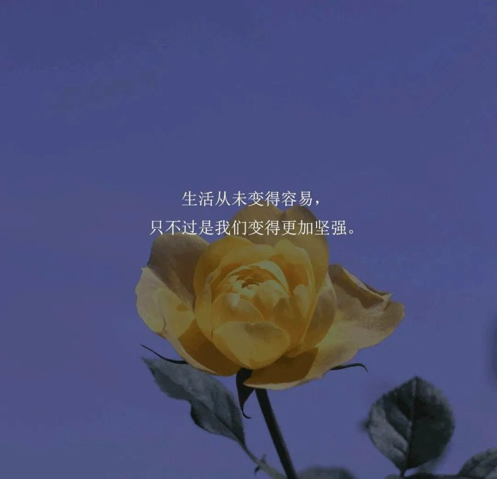 温柔干净的高质量励志文案,让你走出自己的舒适圈的句子