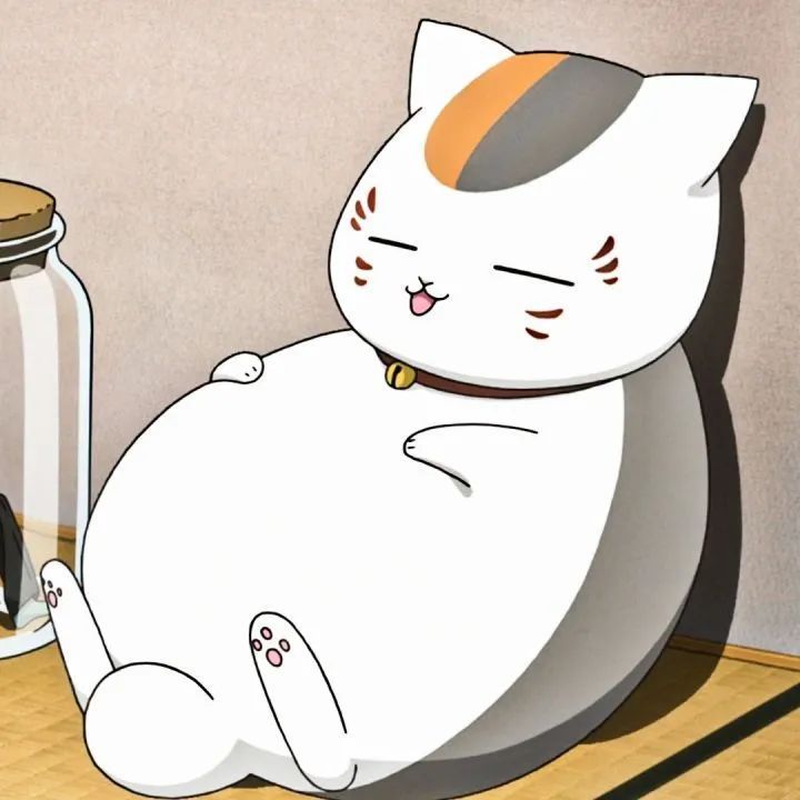 爱吃东西爱喝酒和猫咪老师(娘口三三)头像