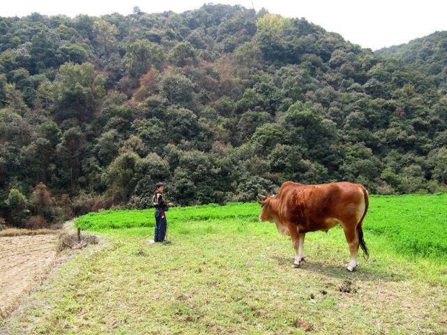 许家山石头村交通攻略,自驾,导航许民村或许家山村即可到达.