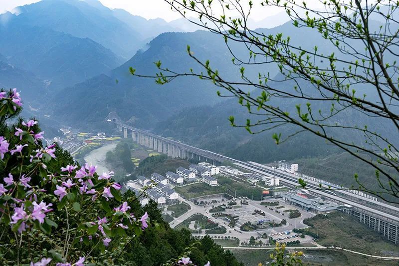 湖南溆浦:花中高铁成风景