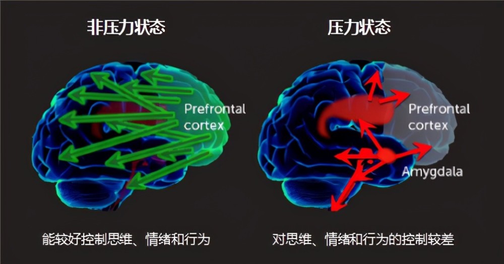 脑子短路原来是这么