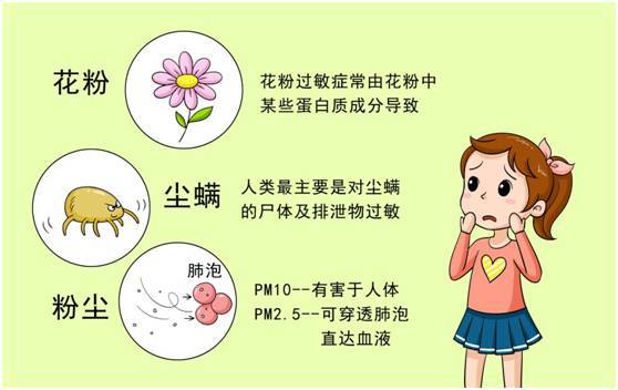 正是人间四月天,春季如何防治花粉过敏?