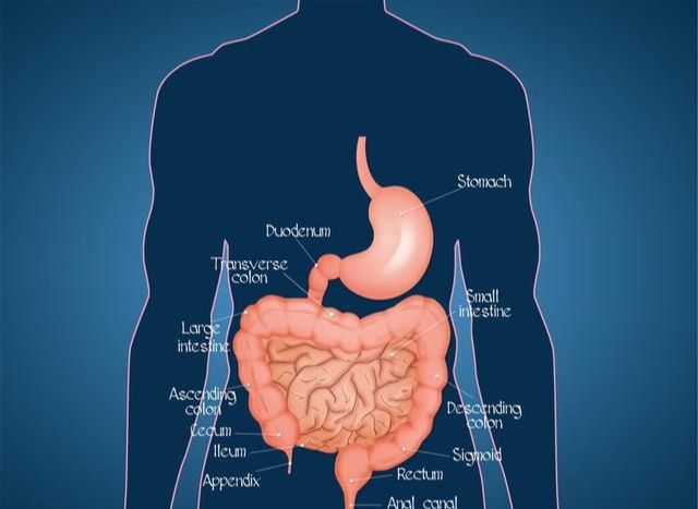 胃痛腹泻便秘别光吃药六字口诀教你养好肠胃健康加倍