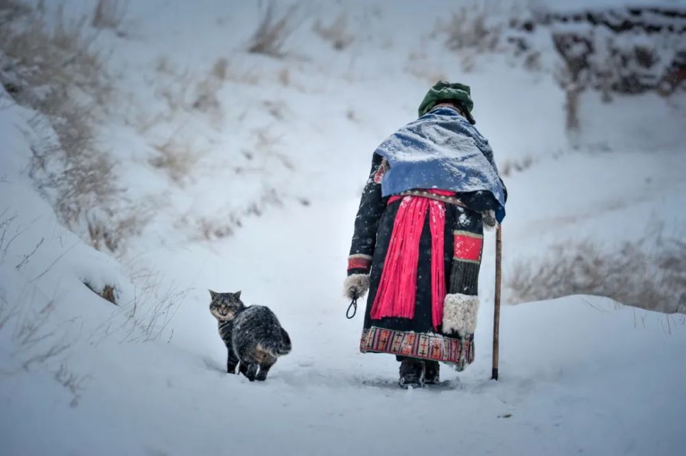 主 编:周塔才让审 核:严永平编 辑:段懿娣图片来源:纪雪楠,吴越