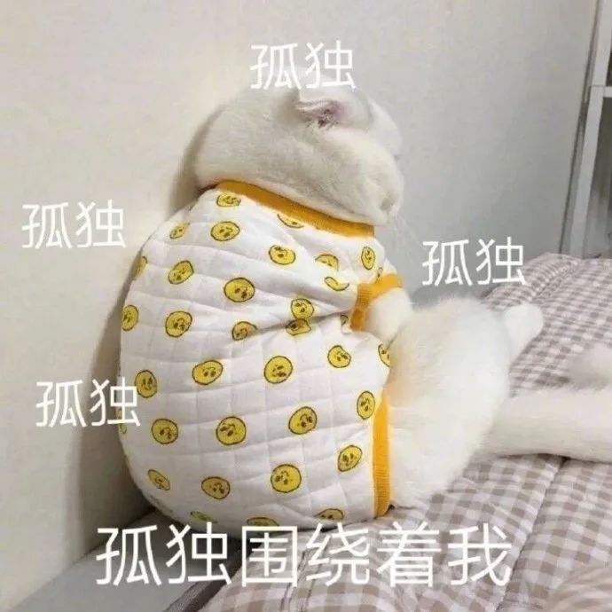 搞笑gif段子单身狗最后的倔强有备无患