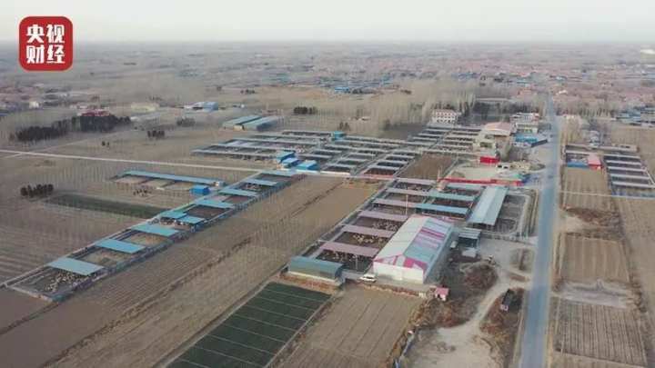 临潭羊沙人口_临潭地图(2)