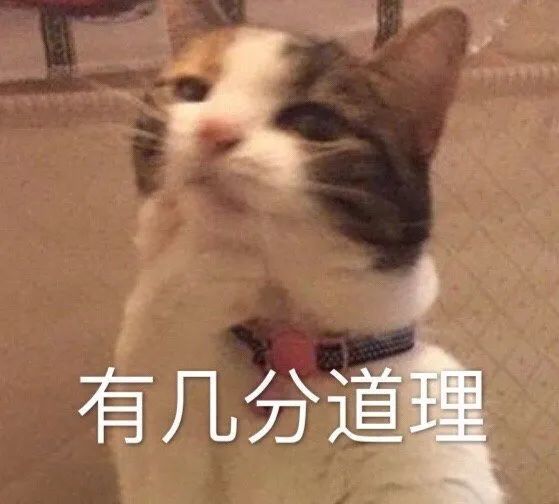 表情包:气鼓鼓,绝交一分钟