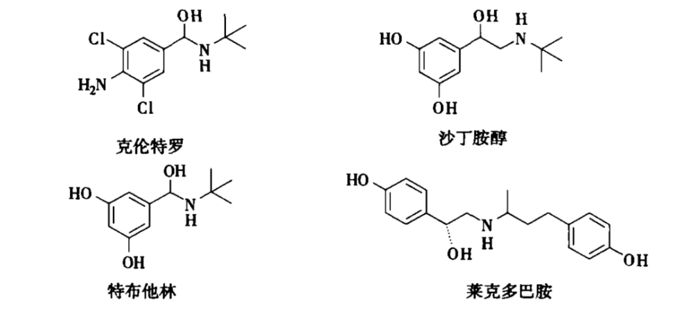 欧美人口路线_人口老龄化(3)