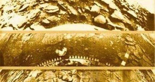 外星人就在我们太阳系?前苏联科学家意外发现,金星上的城市群