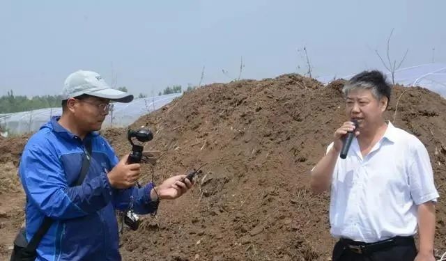 种植|各地桃树开花后,正是桃蚜开始爆发的时候,怎么办?