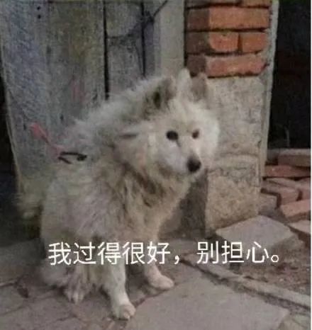 表情包:摸摸头,这样你开心了没