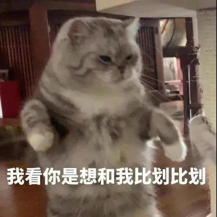 表情包:八卦的眼神,看热闹专用