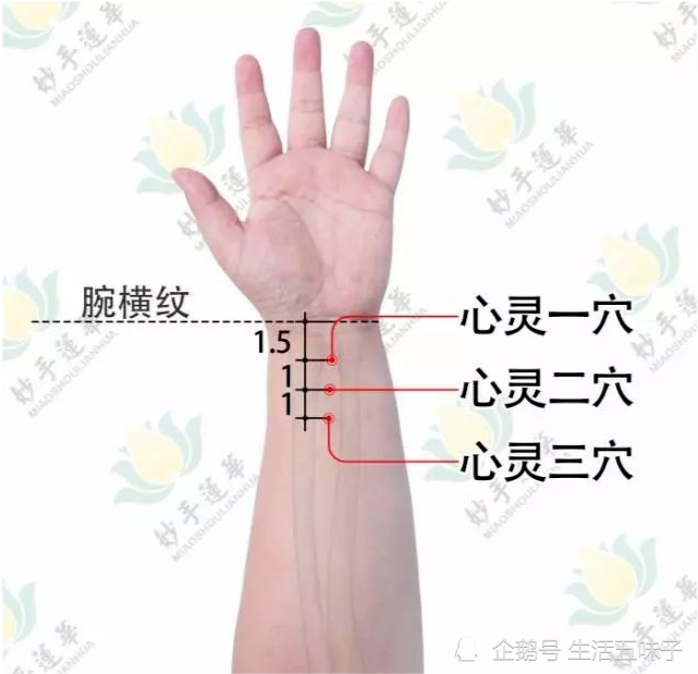 心灵二穴在腕横纹上2.5寸.心灵三穴位于手腕横纹上3.5寸.