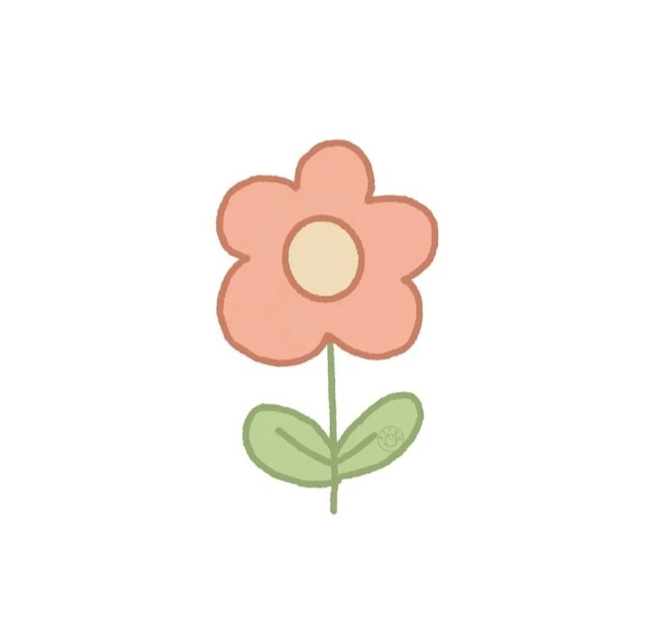 猪 白菜=