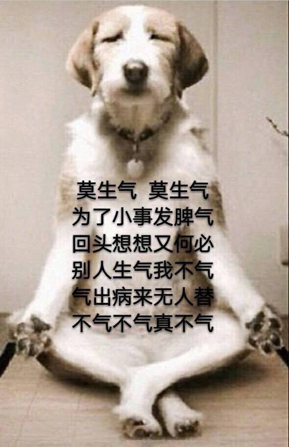 有一种胃痛,是被气出来的