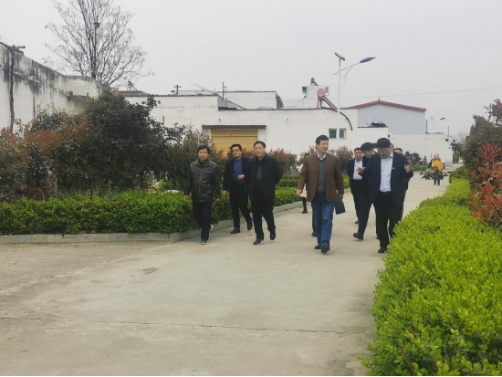 内乡县赵店乡岗堤村乡村振兴之风劲吹乡风文明之花怒放