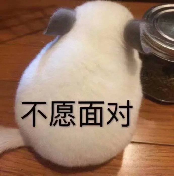 萌宠表情包:小猫咪坏心眼多着呢!