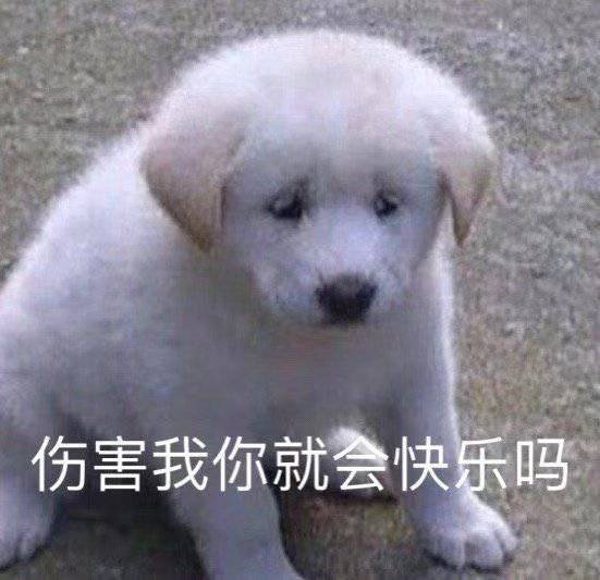 沙雕表情包|来自底层的仰望