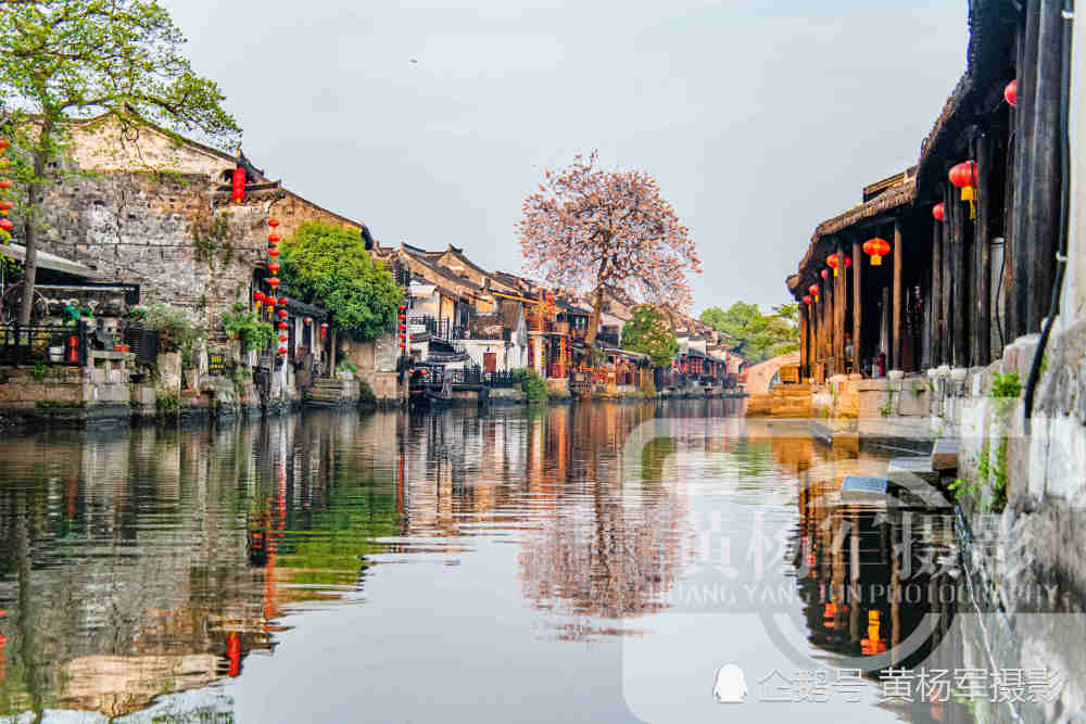 浙江千年古镇,烟雨长廊是江南独一无二的建筑,春日水乡风景如画