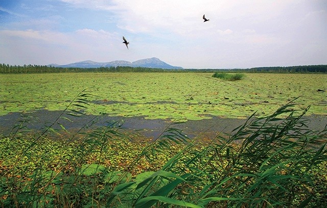 菏泽市开发区经济总量_菏泽市开发区规划图(3)