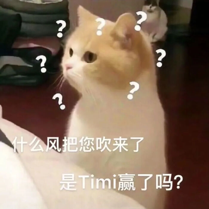 猫猫表情包:看起来大脑一片空白,实际上大脑真的一片空白