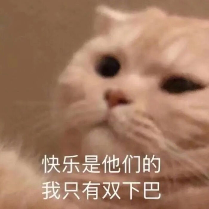 可爱猫猫表情包快乐是他们的我只有双下巴