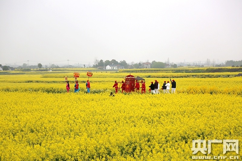 2021年湖北油菜花节在荆门沙洋开幕