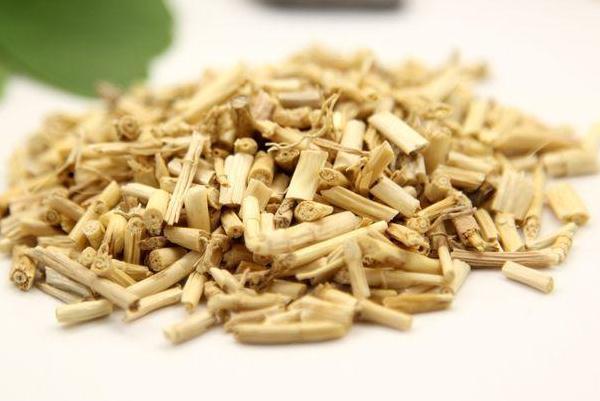 白茅根的适宜人口_白茅根图片