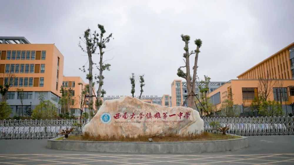 这是我的学历 云南师范大学附属镇雄中学 拍摄于1月19日 拍摄于1月19