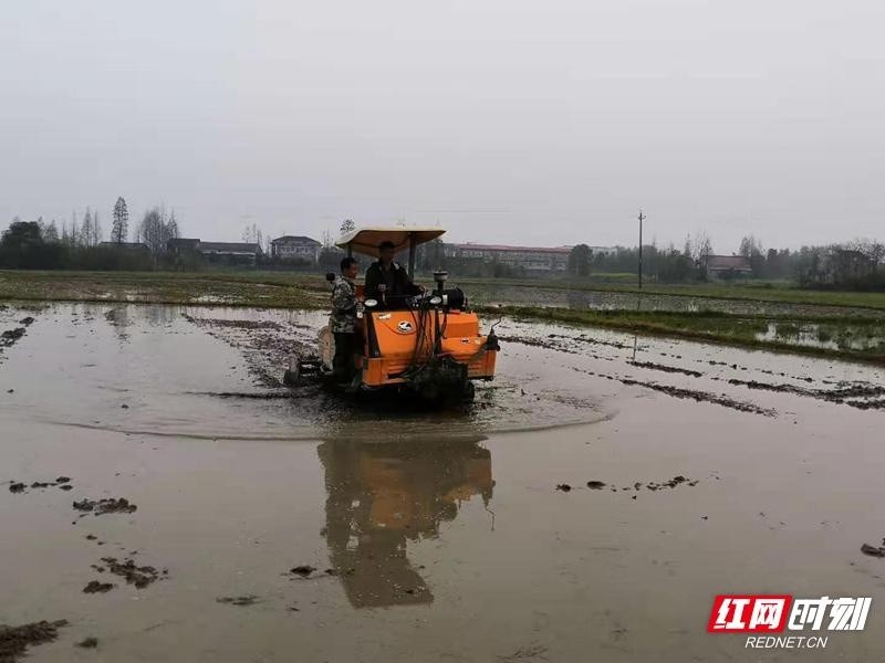 岳阳市湘阴县南湖洲镇春耕现场