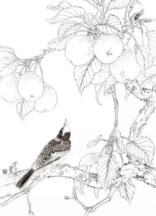 花鸟画技法秘诀,全是精华!